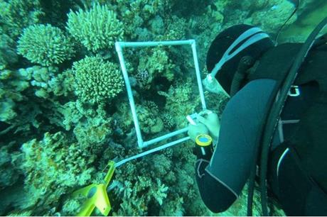 الحكومة توقع مذكرة لإنتاج الوقود البحري الأخضر في العقبة