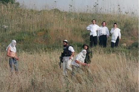 مستوطنون يسرقون خلايا نحل من أراضي دير شرف