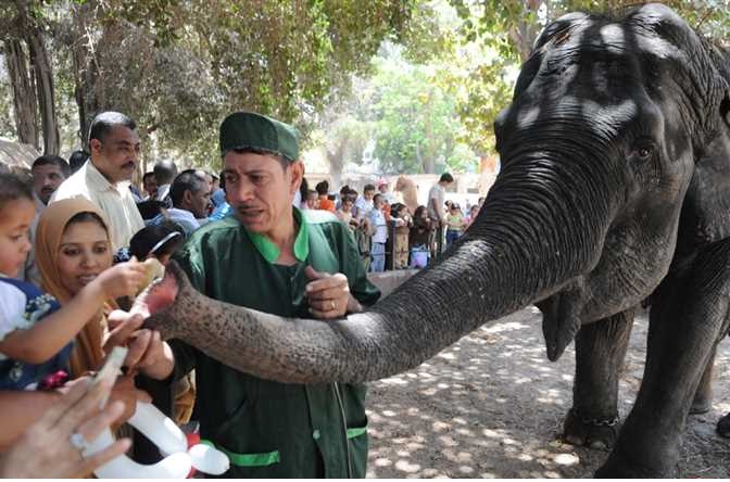 الكشف عن حقيقة بيع حديقة الحيوان في مصر.. والجيش المصري يتولى الأمر!