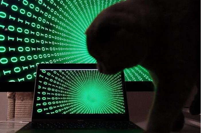 أكثر الدول عرضة للهجمات السيبرانية