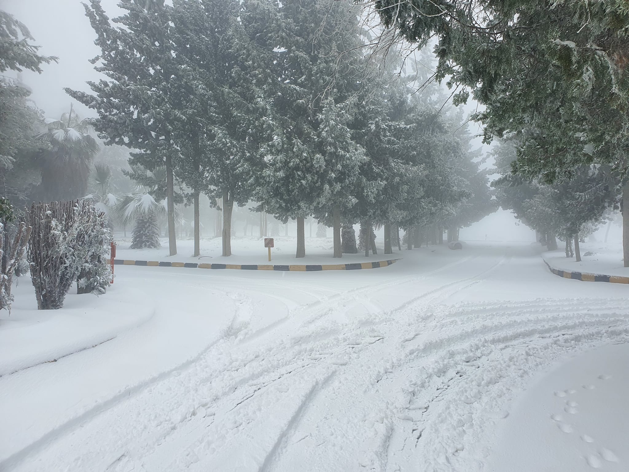 محافظ الطفيلة يدعو لتوخي الحذر على الطرق الرئيسية والفرعية .. فيديو