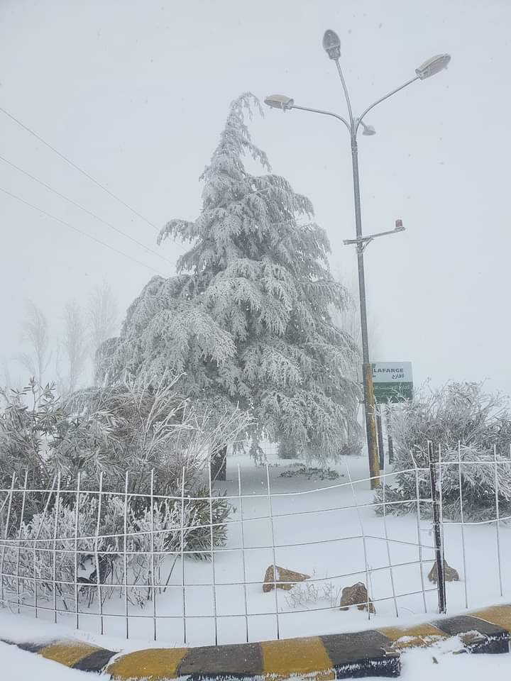 بالفيديو والصور… الثلوج في الرشادية جنوب الطفيلة