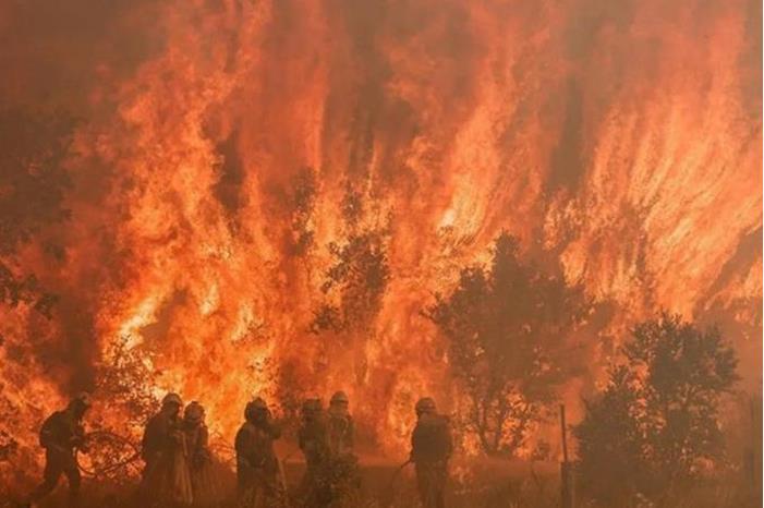 إسبانيا.. الحرائق تلتهم 4600 هكتار من الغابات