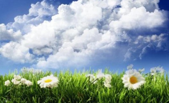 الجمعة.. طقس ربيعي دافئ بوجه عام