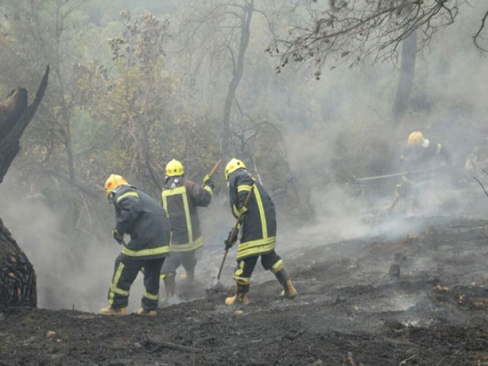 الدفاع المدني يتعامل مع ٤٦١ حريق أعشاب جافة وأشجار