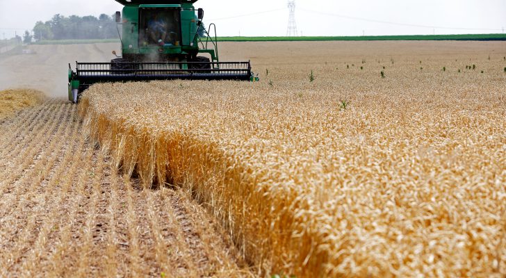 ارتفاع قيمة العقود الآجلة للقمح والذرة