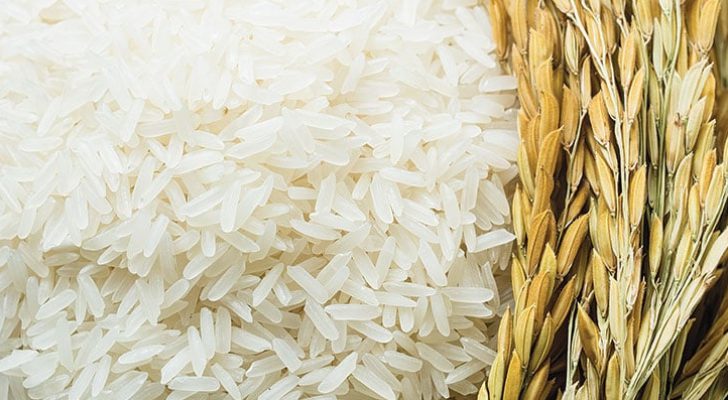 الهند تتوقف عن تصدير الأرز الأبيض