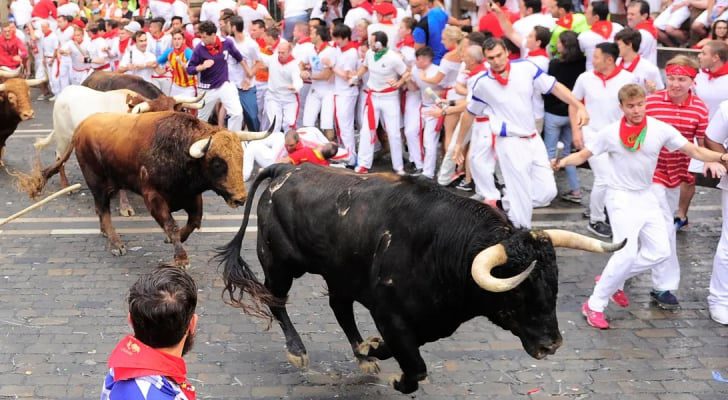 صورة حول : مهرجان سان فيرمين يشعل بامبلونا الإسبانية بروح المغامرة والتقاليد مهرجان سان فيرمين يشعل بامبلونا الإسبانية بروح المغامرة والتقاليد