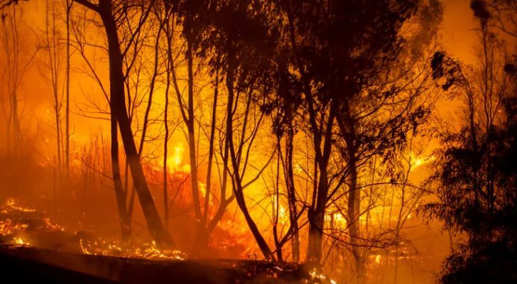 الأردن يسير ٣ طائرات لمكافحة الحرائق في قبرص