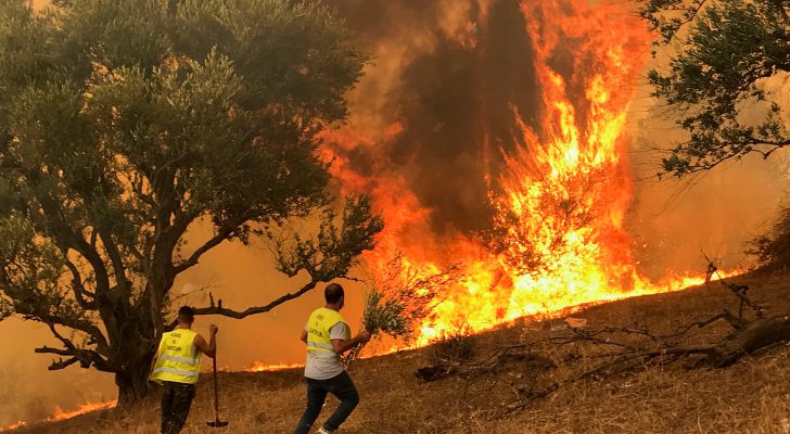 الجزائر: حريق في إحدى غابات منطقة عش الباز ببوليمات ولم تُسجل أي خسائر بشرية أو مادية
