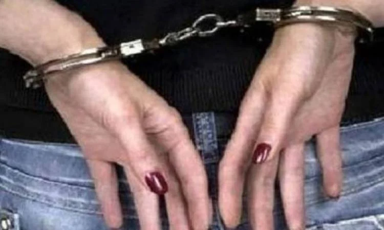 صورة حول : اربد : القبض على سيدة سرقت 8 الآف دينار من مركبة متوقفة اربد : القبض على سيدة سرقت 8 الآف دينار من مركبة متوقفة