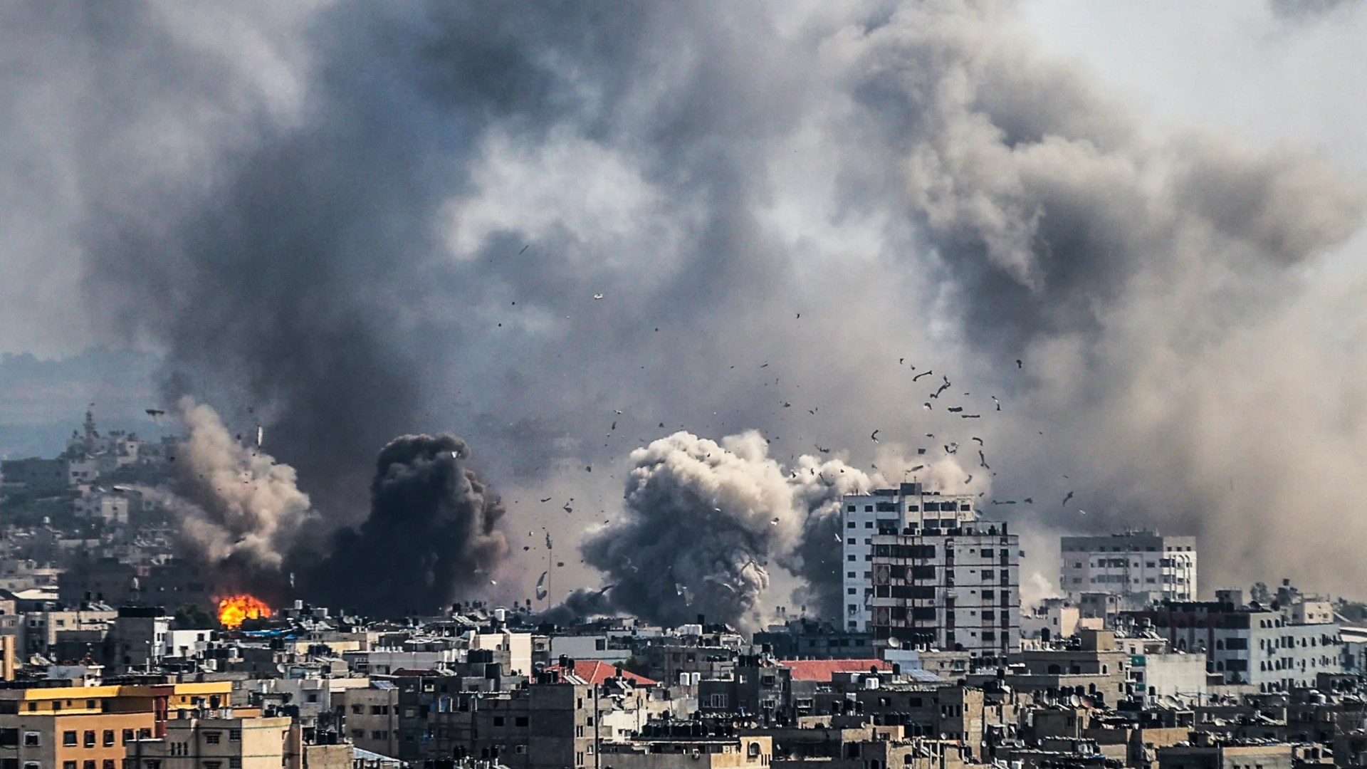 صورة حول : الأردن يدعو المجتمع الدولي للتحرك الفوري لوقف الحرب على غزة الأردن يدعو المجتمع الدولي للتحرك الفوري لوقف الحرب على غزة