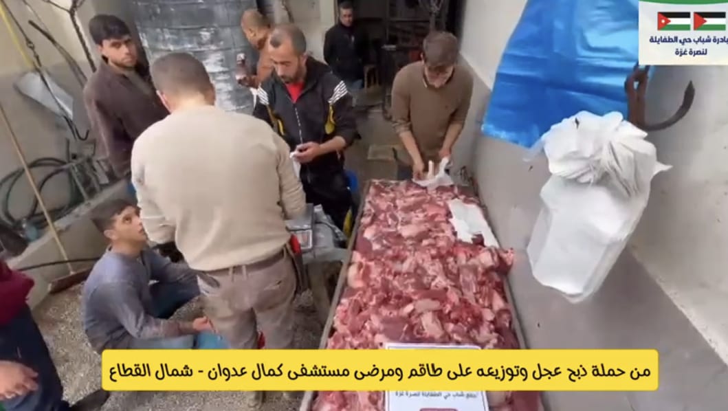 شاهدوا أهالي حي الطفايلة ينحرون عجلا تبرعا لكوادر ومرضى مستشفى كمال العدوان بغزة