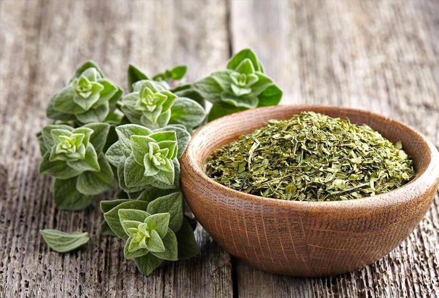 فوائد الزعتر الاخضر