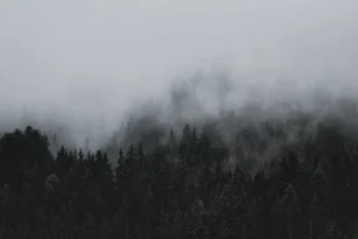 أجواء باردة نسبيا في الأردن الجمعة وتوقع هطول الأمطار