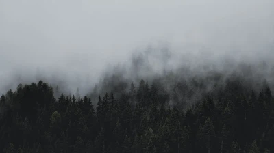 صورة حول : أجواء باردة نسبيا في الأردن الجمعة وتوقع هطول الأمطار أجواء باردة نسبيا في الأردن الجمعة وتوقع هطول الأمطار