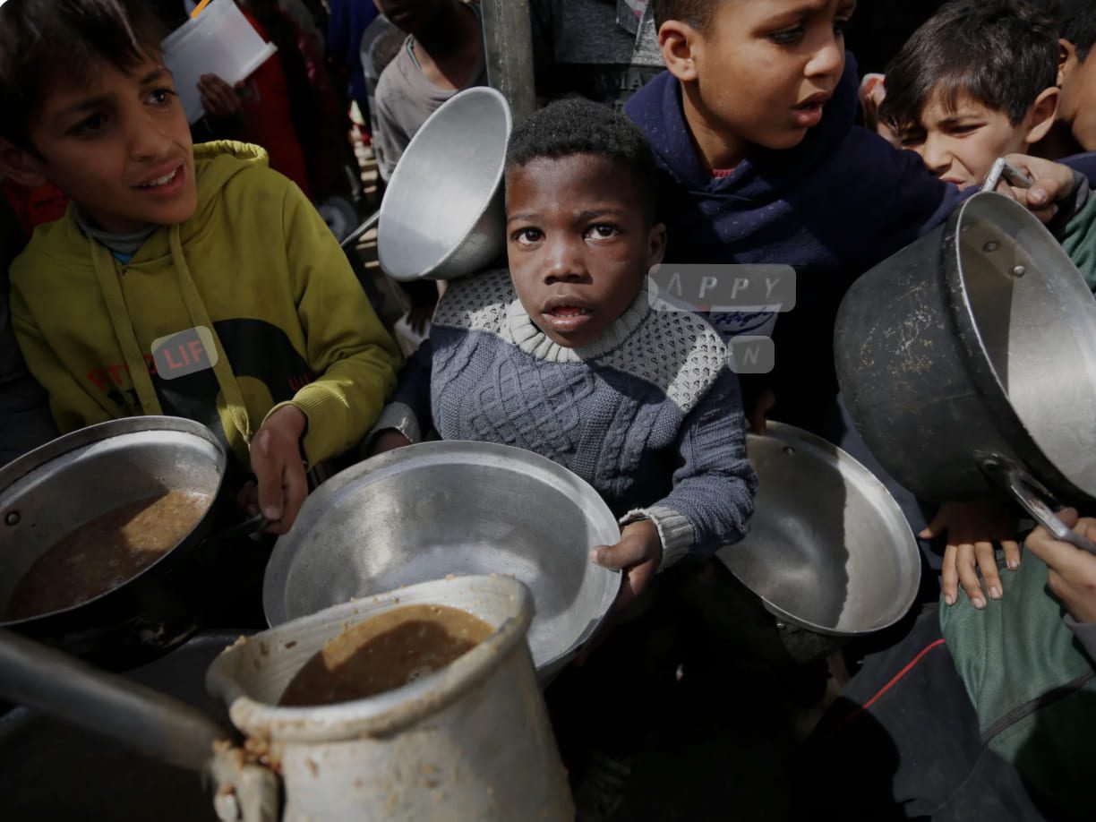 صورة حول : إنقاذ 3 أطفال تناولوا نباتات سامة بسبب الجوع مِن قبل الميداني الأردني بغزة إنقاذ 3 أطفال تناولوا نباتات سامة بسبب الجوع مِن قبل الميداني الأردني بغزة