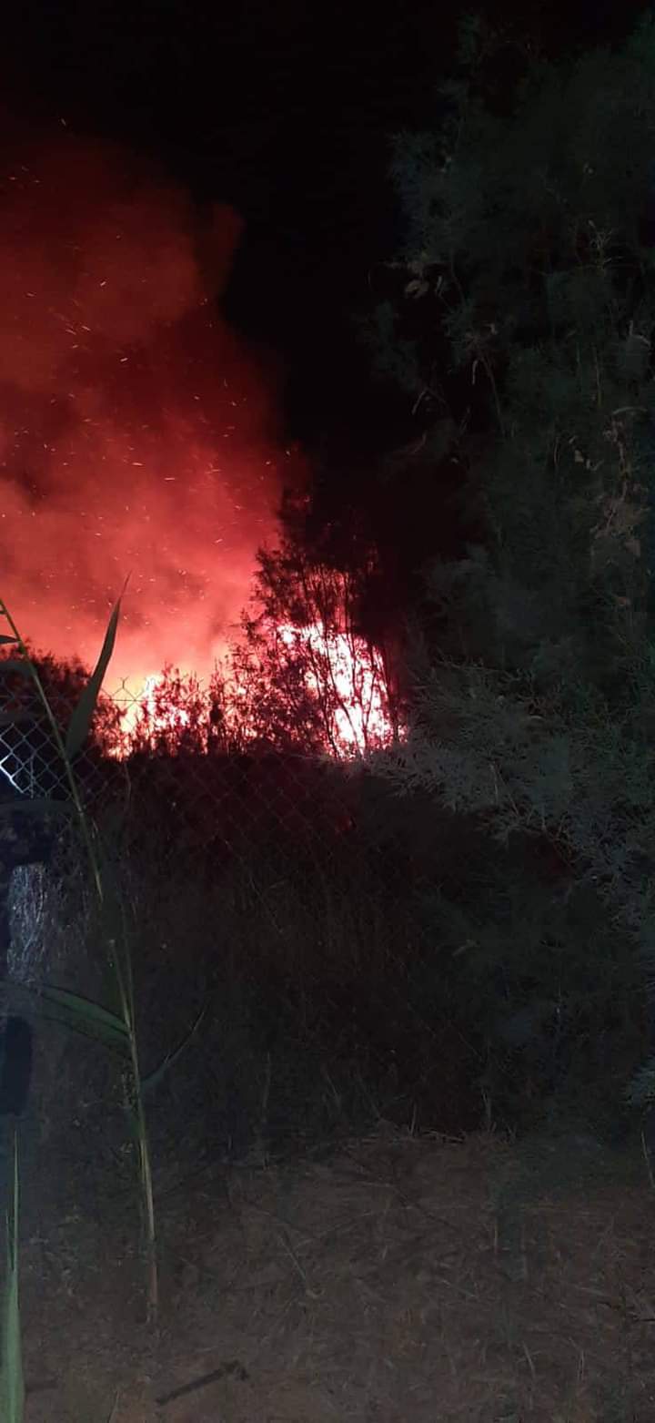 صورة حول : البلقاء: إخماد حَريق فِي مَنطقة داميا البلقاء: إخماد حَريق فِي مَنطقة داميا