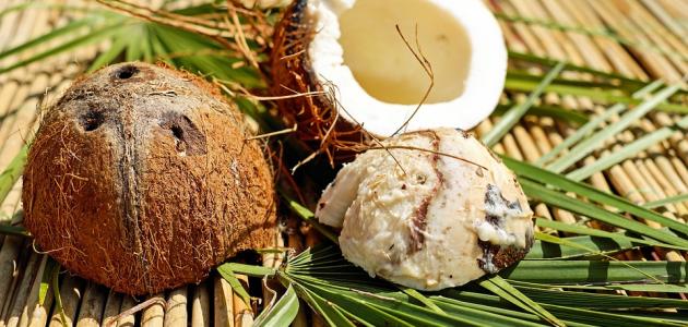 مَا سبب تسمية جوز الهند؟