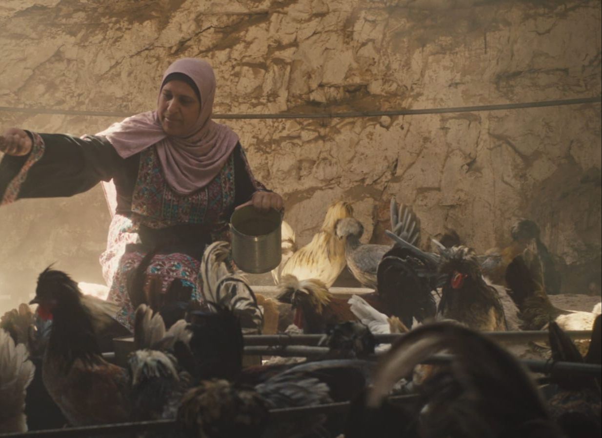 نسرين الخصاونة في حوار شامل عن شركات التمويل الأصغر في الأردن