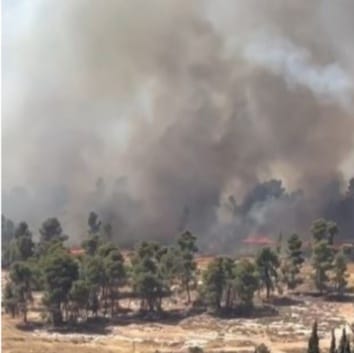 عاجل .. حريق هائل يجتاح متنزه عمان القومي