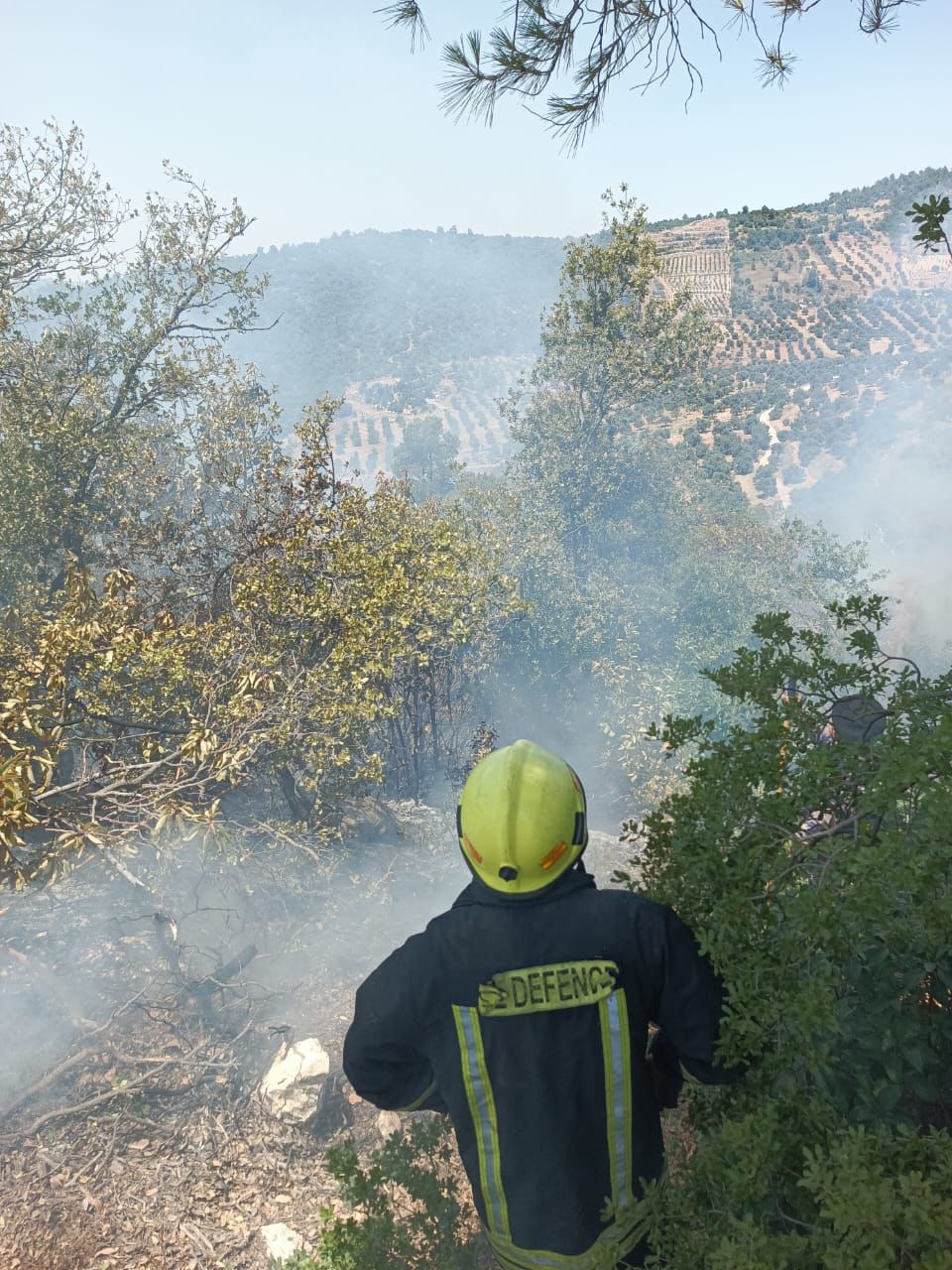 إخماد الحريق في عجلون بمشاركة طائرات سلاح الجو الملكي