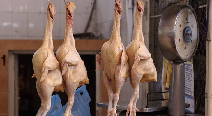 صورة حول : السوق الاردني يعتمد على الإنتاج المحلي للدواجن بنسبة 85% السوق الاردني يعتمد على الإنتاج المحلي للدواجن بنسبة 85%