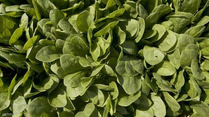 لماذا يبدأ الشيب عند بعض من الشباب مبكرا؟