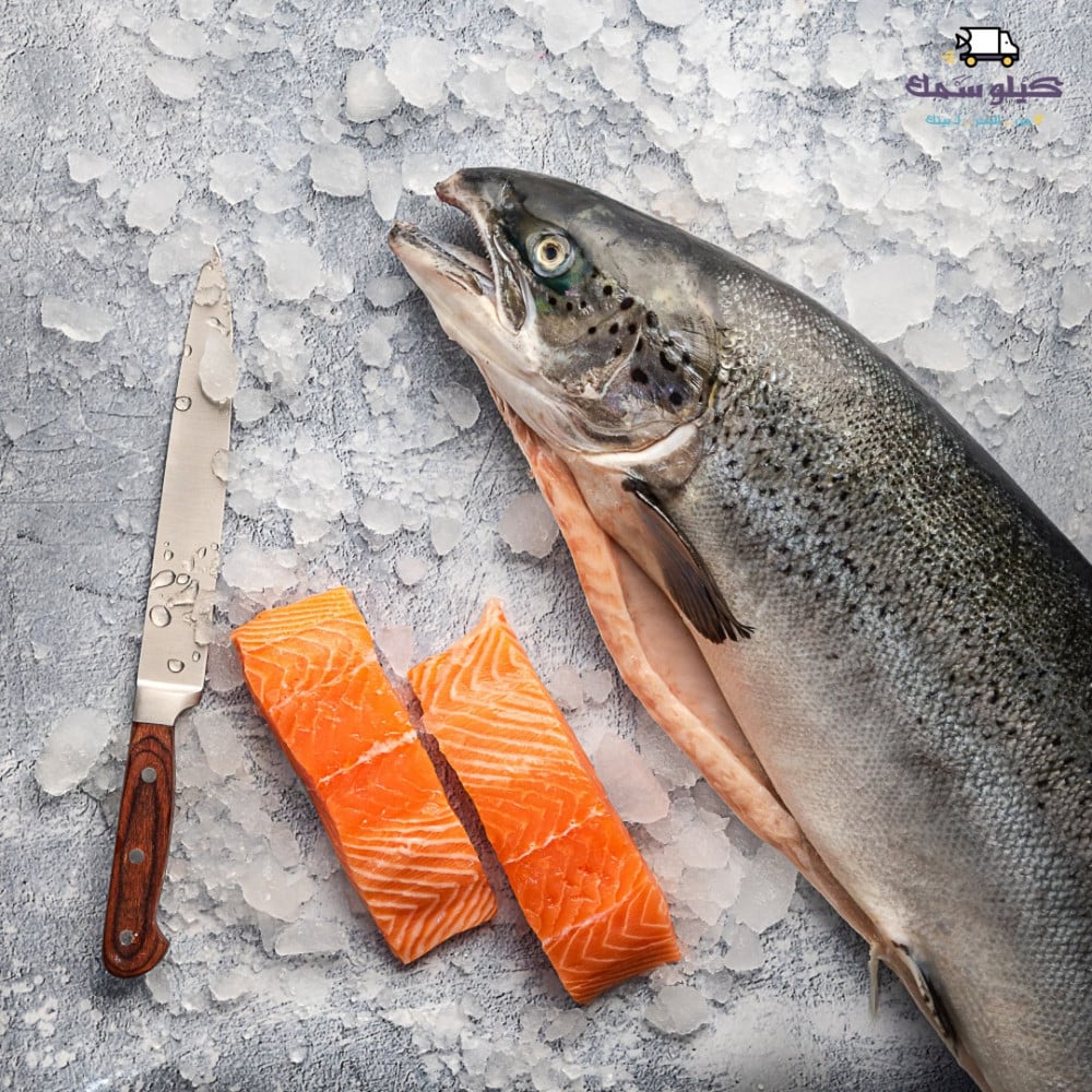 لماذا يبدأ الشيب عند بعض من الشباب مبكرا؟