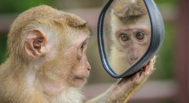 صورة حول : منظمة الصحة العالمية تعلن حاله الطوارئ( بأعلى مستوى) منظمة الصحة العالمية تعلن حاله الطوارئ( بأعلى مستوى)