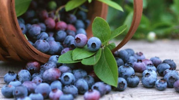 صورة حول : لماذا يبدأ الشيب عند بعض من الشباب مبكرا؟ لماذا يبدأ الشيب عند بعض من الشباب مبكرا؟