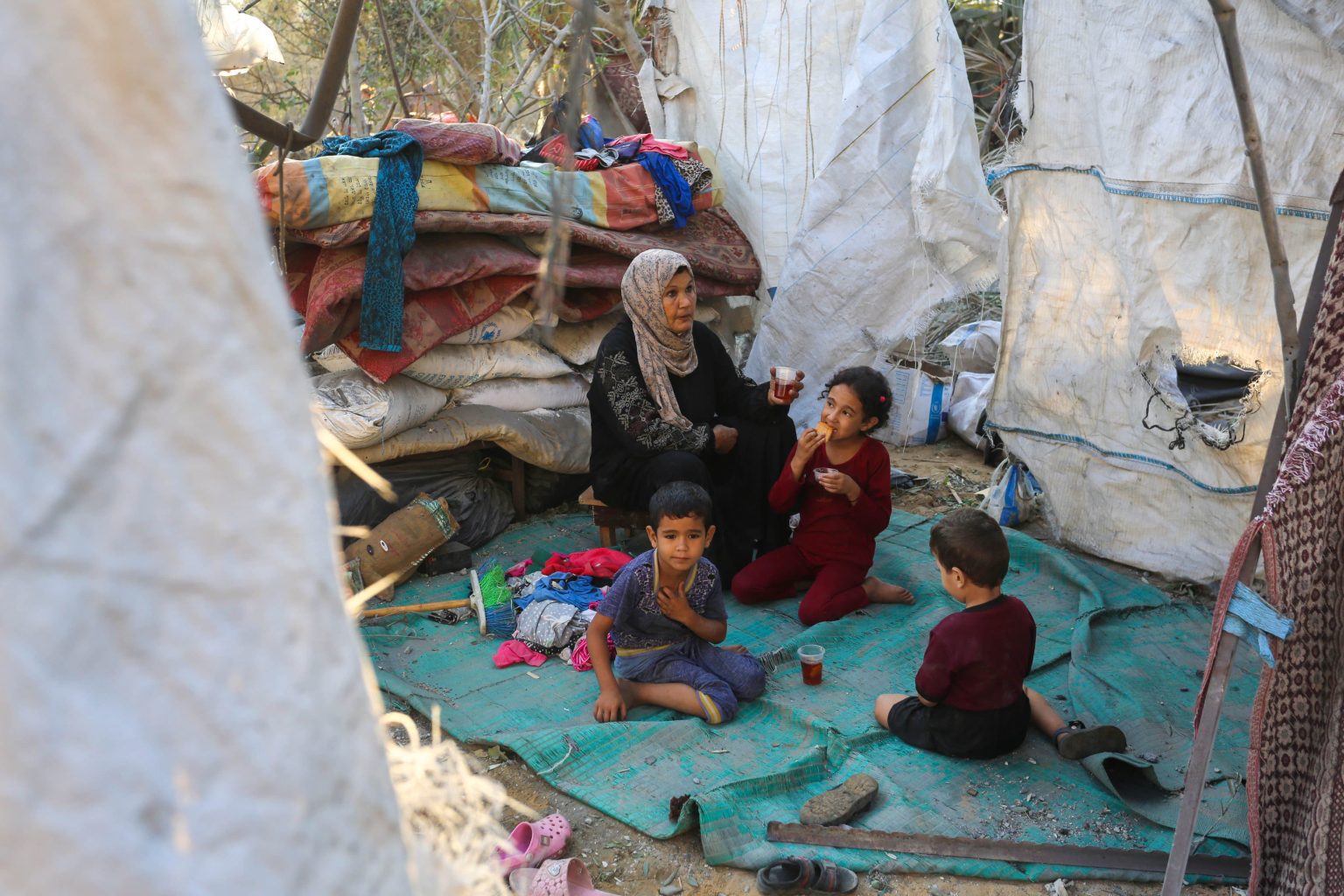 صورة حول : ارتفاع حالات سوء التغذية بين الأطفال في شمال غزة ارتفاع حالات سوء التغذية بين الأطفال في شمال غزة