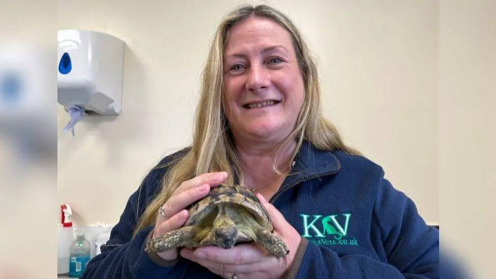 صورة حول : إنقاذ سلحفاة من من إعادة التدوير ضمن 22 طناً من النفايات إنقاذ سلحفاة من من إعادة التدوير ضمن 22 طناً من النفايات