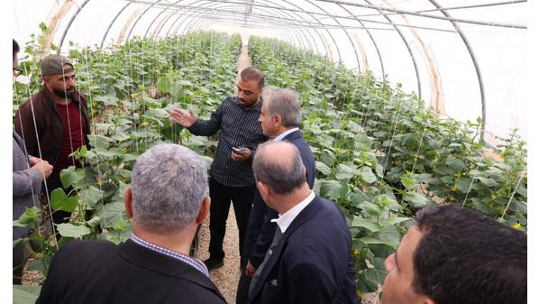 صورة حول : رئيس الوزراء يتفقد مشاريع زراعية نموذجية في سما السرحان رئيس الوزراء يتفقد مشاريع زراعية نموذجية في سما السرحان