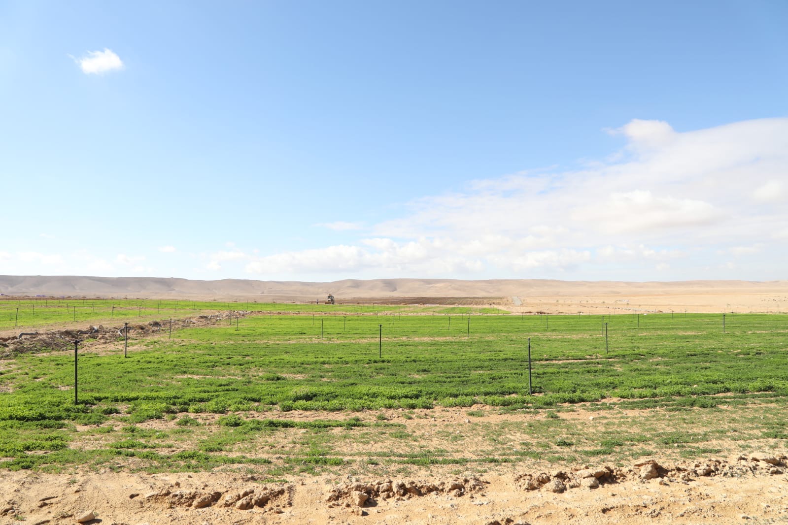 تزامناً مع زيارة الملك للمحافظة...العيسوي يتفقد مشاريع مبادرات ملكية في الكرك