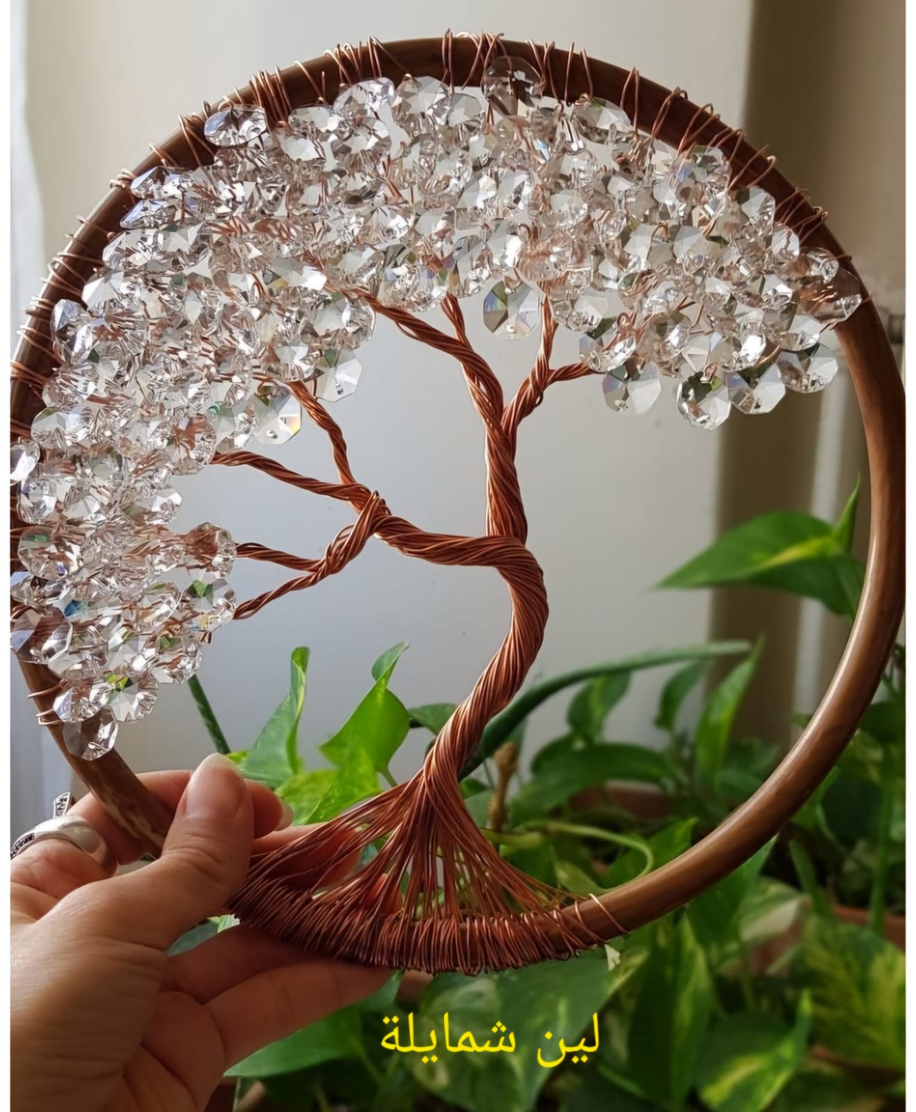 صورة حول : المرض ليس اخر الأبواب المغلقة لين شمايلة تفتح باب اخر ولن تستسلم المرض ليس اخر الأبواب المغلقة لين شمايلة تفتح باب اخر ولن تستسلم