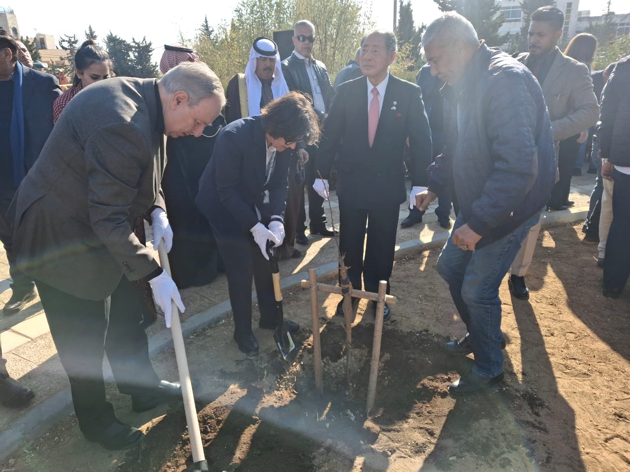   زراعة 70 شجرة كرز في عمان احتفالاً بمرور 70 عامًا من الصداقة بين الأردن واليابان
