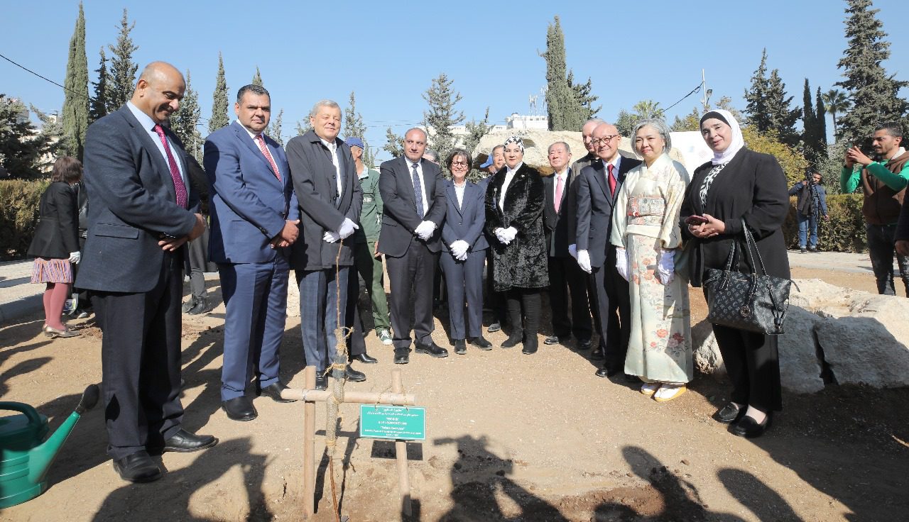   زراعة 70 شجرة كرز في عمان احتفالاً بمرور 70 عامًا من الصداقة بين الأردن واليابان