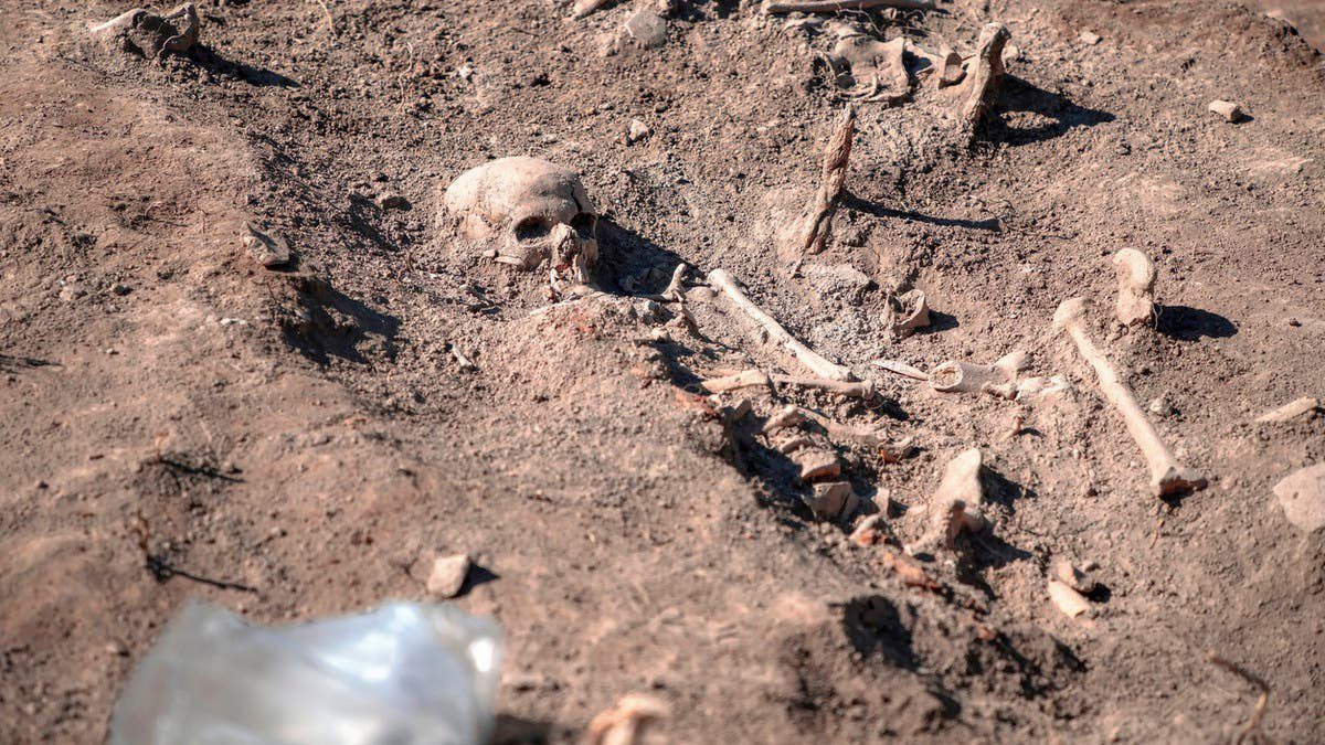 مقبرة جماعية تحوي أكثر من 100 ألف جثة في سوريا