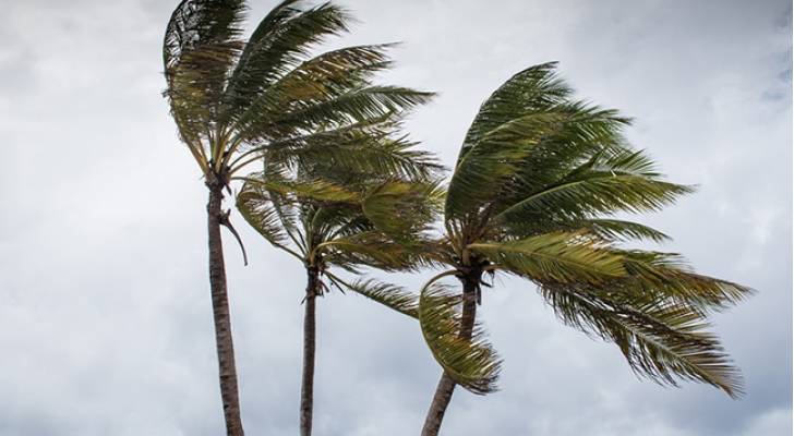 رياح جنوبية شرقية ستنشط تدريجياً ظهر وعصر اليوم .. تعرف على التفاصيل