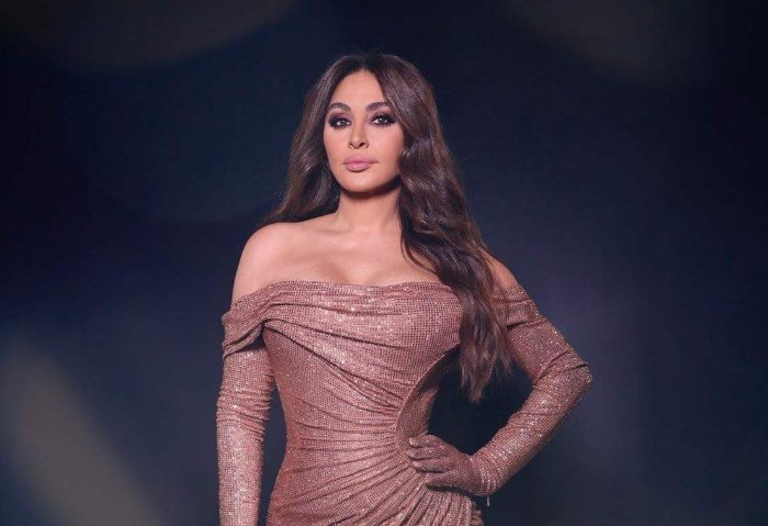 إليسا تفاجئ الصحافيين بتصريح غير متوقع في الرياض