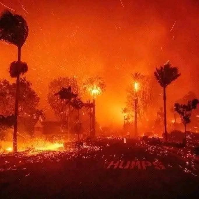 حرائق لوس أنجلوس تلتهم 150 مليار دولار وتدمّر آلاف المنازل