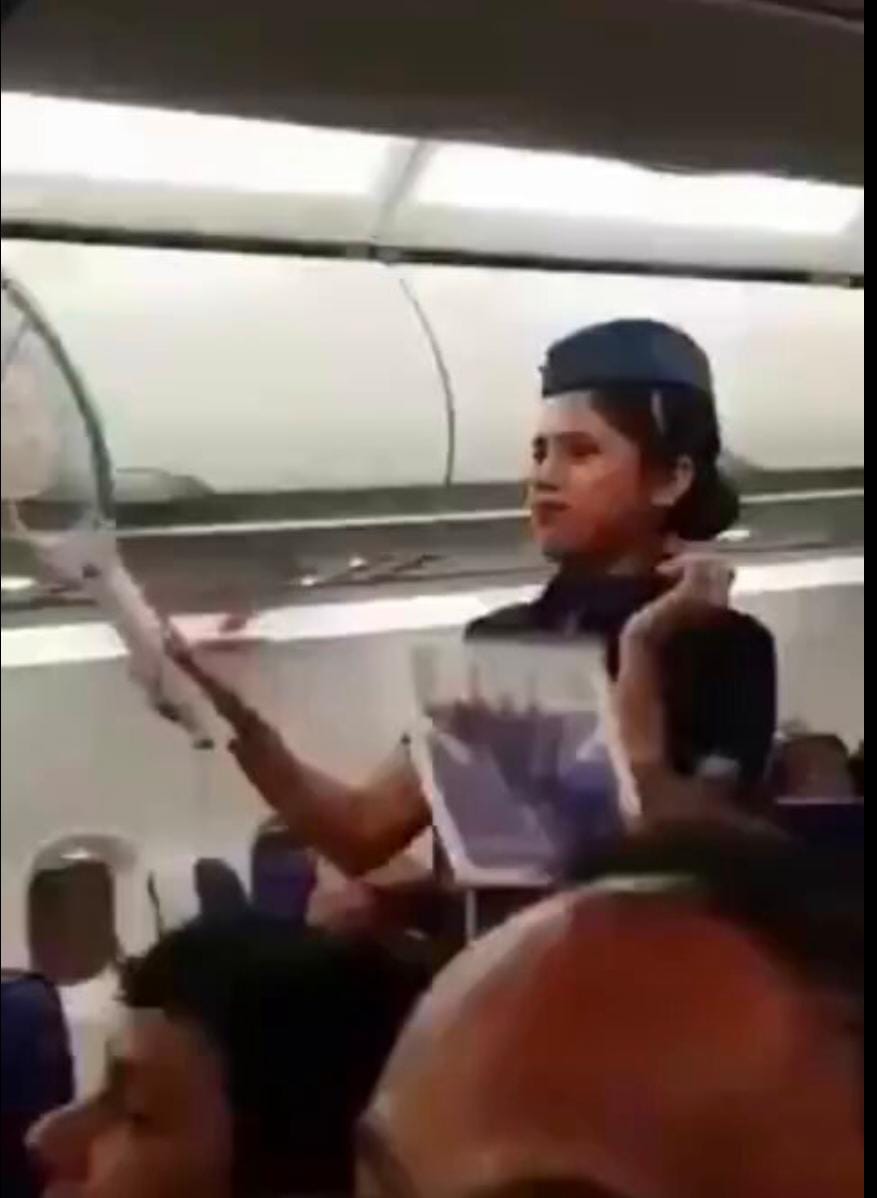 صورة حول : مضيفات الطيران الهندية يستخدمن المضارب لقتل البعوض خلال رحلة جوية (فيديو) مضيفات الطيران الهندية يستخدمن المضارب لقتل البعوض خلال رحلة جوية (فيديو)