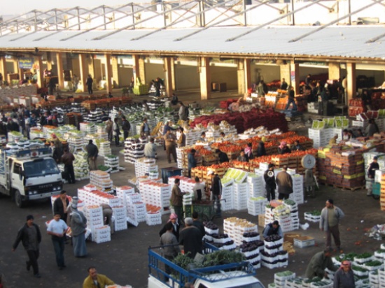 صورة حول : أولى شحنات الخضار والفواكه الأردنية إلى سوريا بعد 13 عاماً من التوقف أولى شحنات الخضار والفواكه الأردنية إلى سوريا بعد 13 عاماً من التوقف