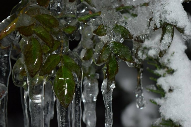 طقس العرب يسجل انجماداً شديداً مع انخفاض حاد في درجات الحرارة