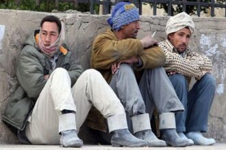 45 فرصة عمل للمصريين ..رواتب تصل إلى 500 دينار شهريًا