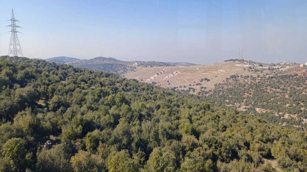 القبض على معتدٍ مكرّر على الثروة الحرجية في عجلون