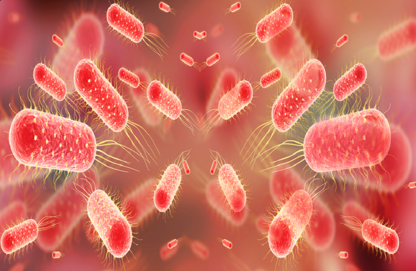 صورة حول : اختراع طبي قد يغيّر مسار علاج التيفوئيد اختراع طبي قد يغيّر مسار علاج التيفوئيد