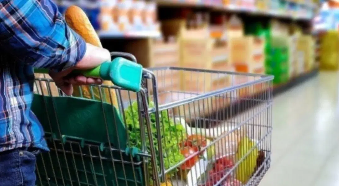 عاجل | أفعى تثير الذعر في أسواق رأس العين.. وتحرك عاجل من أمانة عمّان!