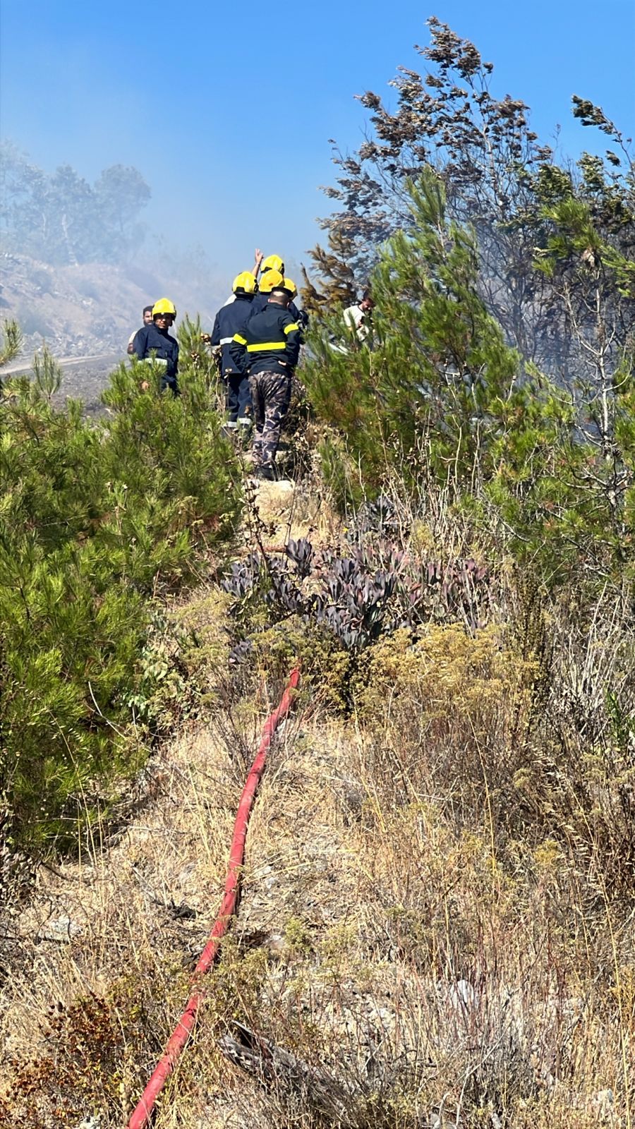 بالصور .. الأردن يشارك بإخماد حرائق غابات اللاذقية